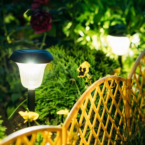 Yard Solar Light